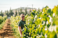 Silves, Algarve Vineyard Tour with Premium Wine Tasting - Housity