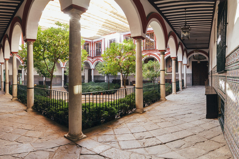 Sevilla: Hospital de los Venerables Entrada con Audioguía