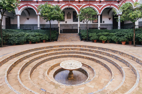 Sevilla: Hospital de los Venerables Entrada con Audioguía