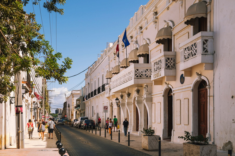 Desde Bávaro o Punta Cana: Excursión a lo más destacado de Santo Domingo