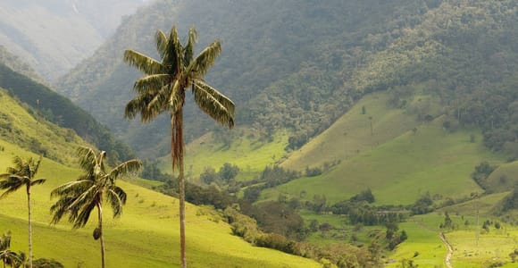 Punta Cana: Anamuya Mountains Walking Tour with Tasting