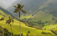 Punta Cana, Anamaya Bergwanderung mit Verkostung - Hizvo