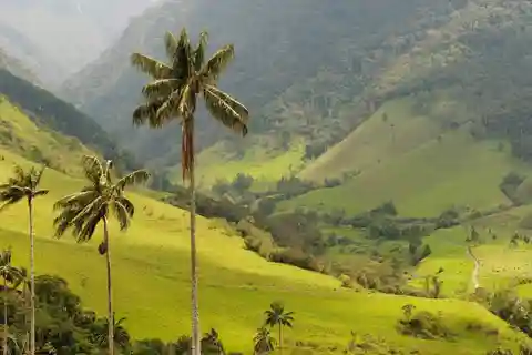 Punta Cana: Excursão a pé pelas montanhas de Anamaya com degustação