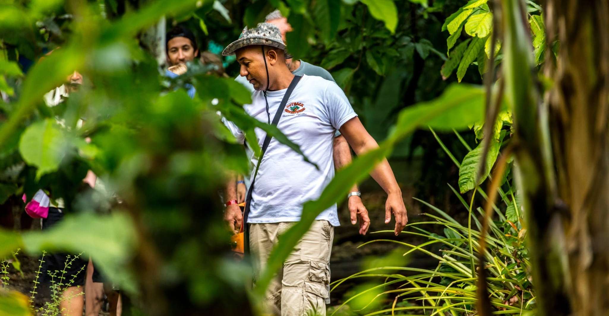 Punta Cana, randonnée pédestre dans les montagnes d'Anamaya avec dégustation - Hizvo