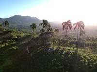 Punta Cana, Anamaya Bergwanderung mit Verkostung - Hizvo