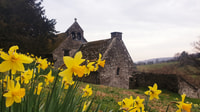 From Cardiff, Wye Valley and Brecon Beacons Full-Day Trip - Housity