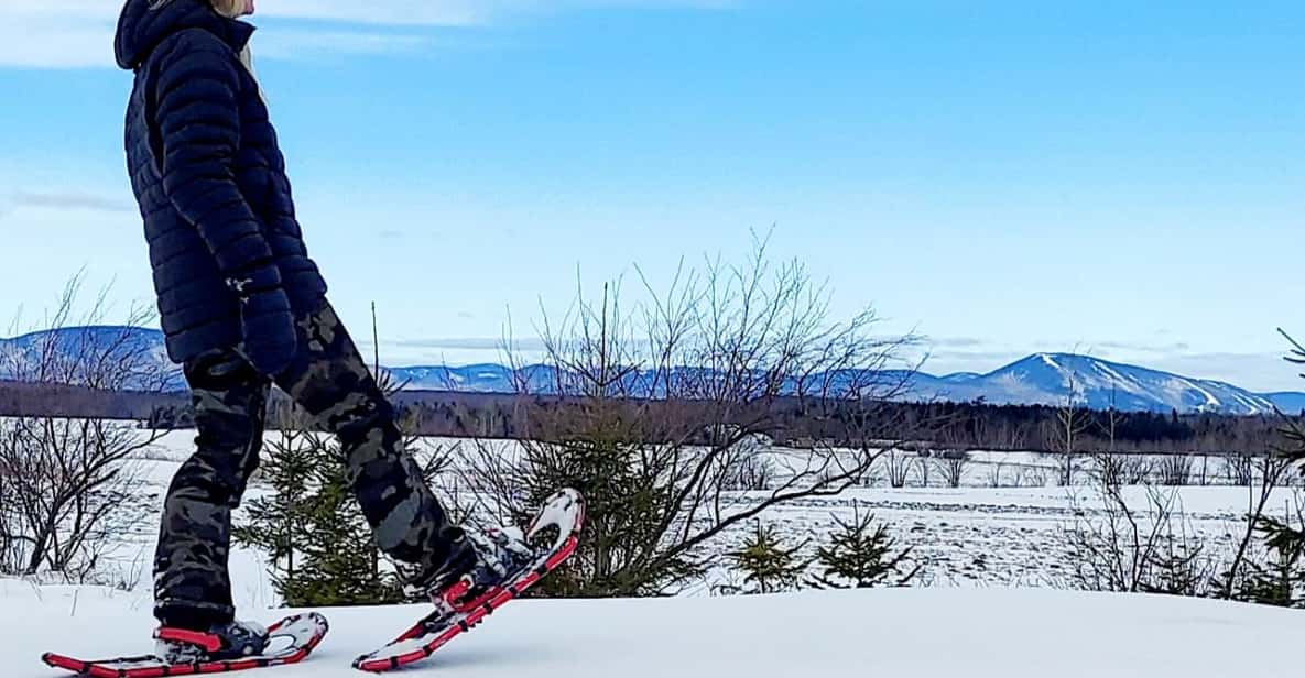SaintJeandel'Îled'Orléans Excursion autoguidée en raquettes à
