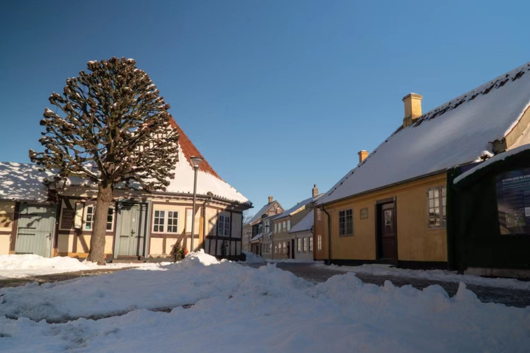 Il fascino del Natale a Odense - Tour a piedi