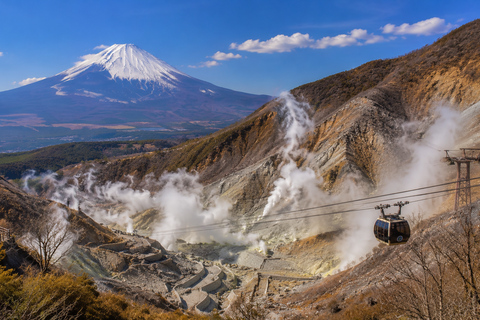 Fuji & Hakone Private Car Tour with Bullet Train Return
