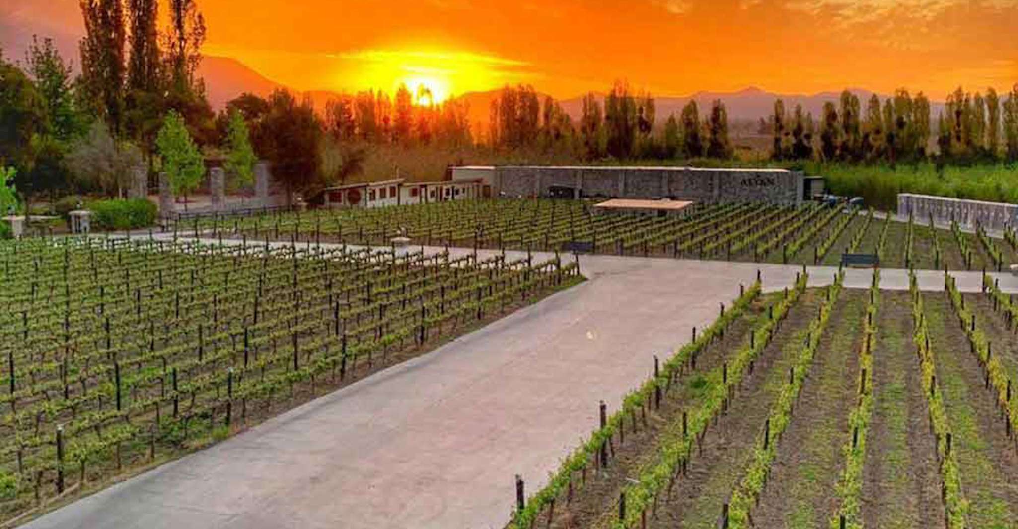 Santiago, Tour des caves du coucher du soleil avec dégustation de vin et dîner - Hizvo
