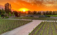 Santiago, Tour de Bodega Sunset con Catas de Vino y Cena - Hizvo