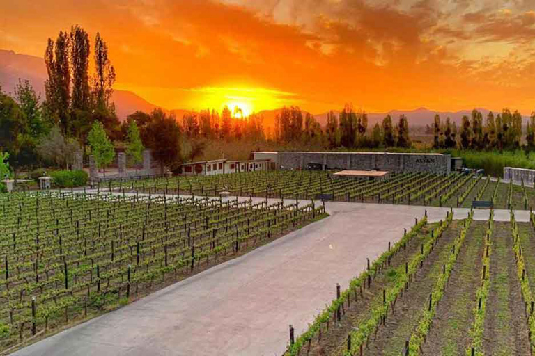 Santiago : Visite des vignobles au coucher du soleil avec dégustation de vins et dînerTransfert au domaine viticole avec billet, dégustation et dîner