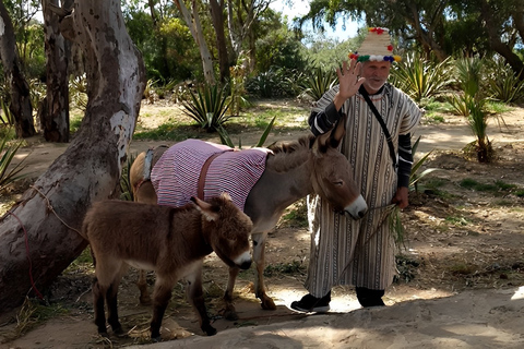 Tangier: Assilah Private Tour with Camel Ride