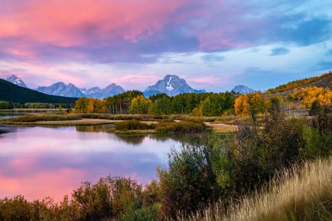 Yellowstone & Grand Tetons: 4-Day/3-Night Wildlife Adventure