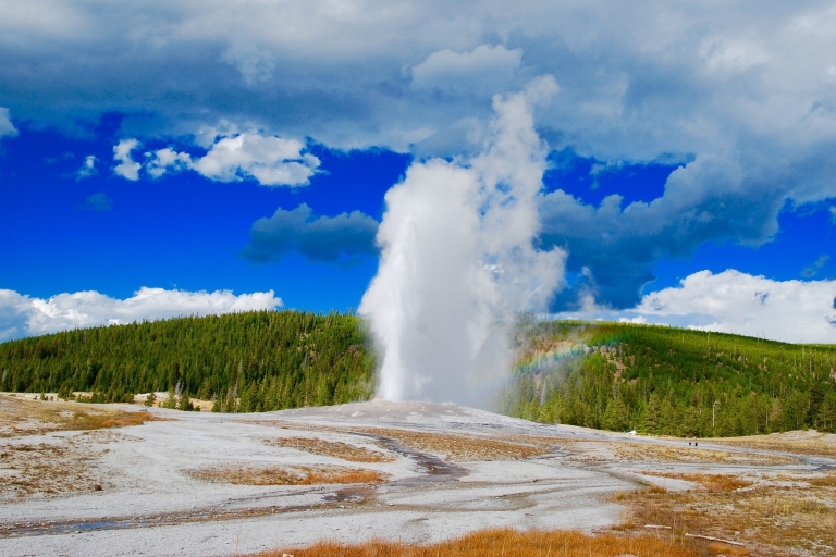 Vanuit Jackson, Wyoming: excursie Yellowstone Lower LoopPrivétour - tot 9 gasten