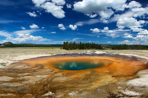 From Jackson: Yellowstone National Park Day Trip with Lunch