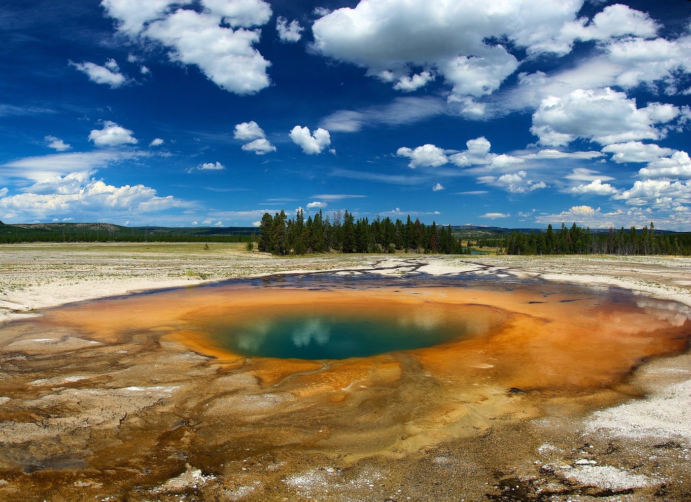 Fra Jackson: Dagsudflugt til Yellowstone National Park med frokost