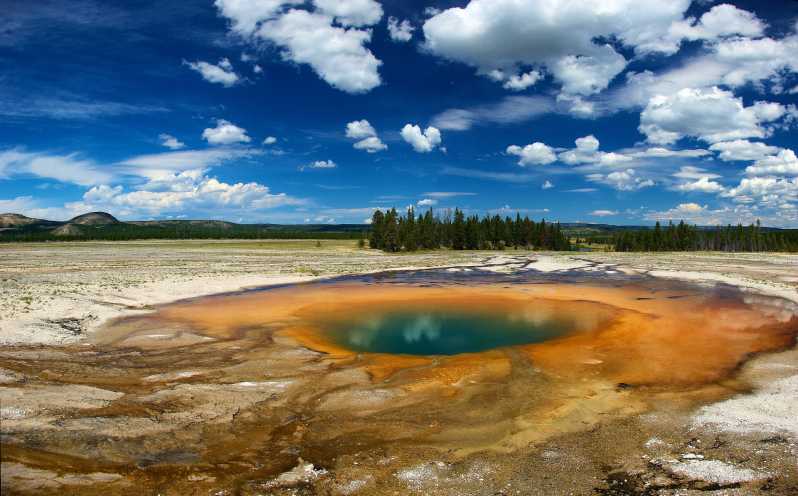 From Jackson: Yellowstone National Park Day Trip with Lunch