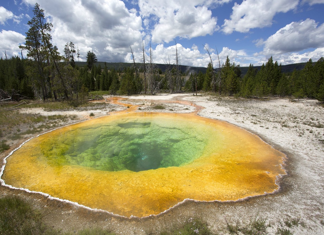 Fra Jackson: Dagsudflugt til Yellowstone National Park med frokost