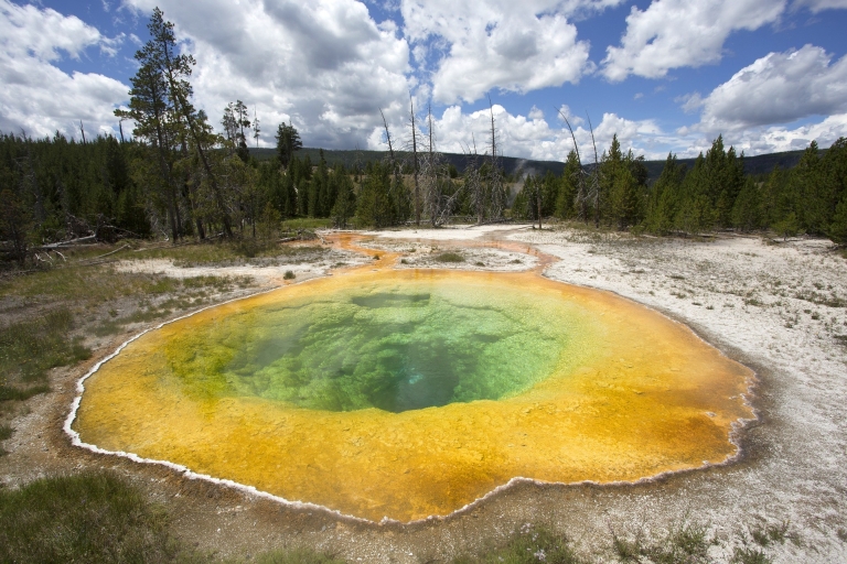 Vanuit Jackson, Wyoming: excursie Yellowstone Lower LoopPrivétour - tot 9 gasten