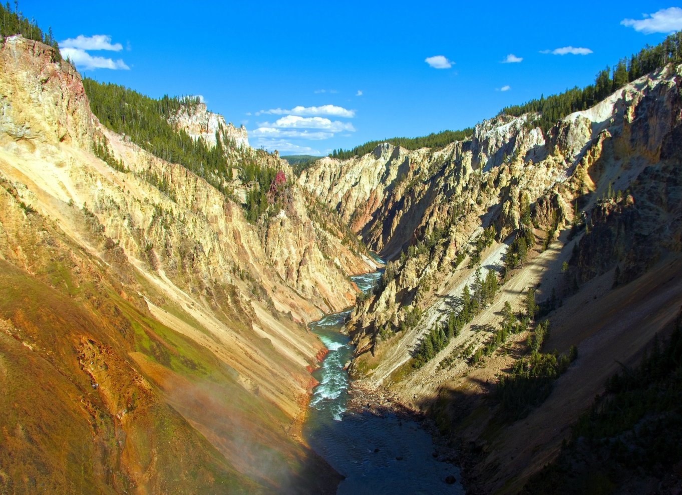 Fra Jackson: Dagsudflugt til Yellowstone National Park med frokost