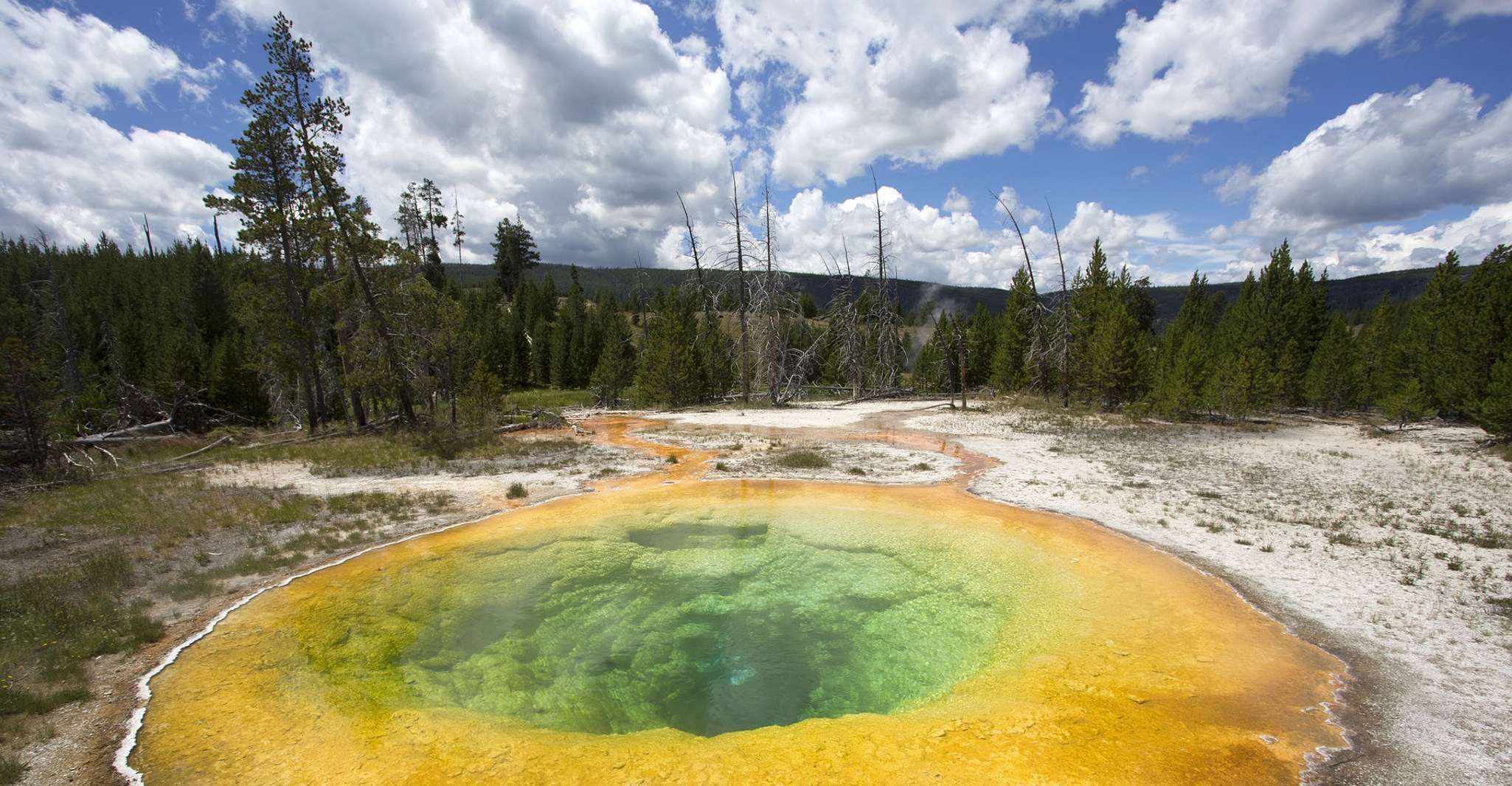 Jackson, 2-Day Yellowstone National Park Tour with Lunches - Housity