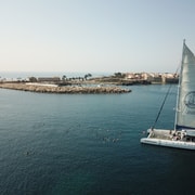 Alicante: 6-Hour Catamaran Cruise to Tabarca Island