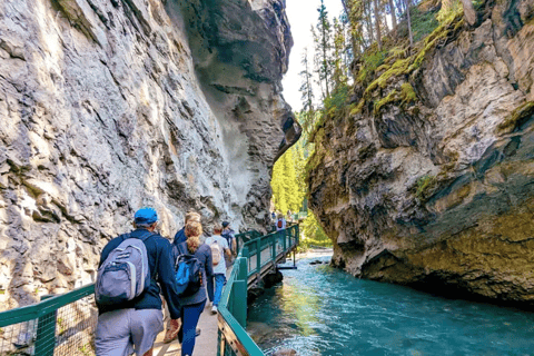 Banff: Experience Lake Louise & Johnston Canyon Shuttle From Banff Train Station