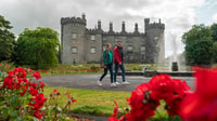 Waterford Crystal & Kilkenny City Small Group Tour - Housity