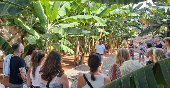 Gran Canaria: Banana World Guided Tour & Tasting