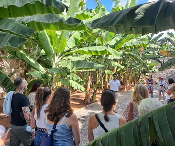 Gran Canaria: Banana World Guided Tour & Tasting