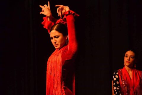 Seville: 1 Hour Flamenco Dance Lesson