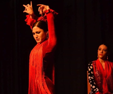Seville: Flamenco Dance Class with Optional Costume