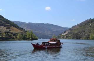 Porto: Douro-Tal-Weinberg-Tour mit Mittagessen und Flusskreuzfahrt