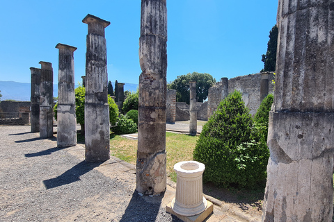 Nápoles: Pompeya AudioguíaVisita audioguiada inteligente de Pompeya