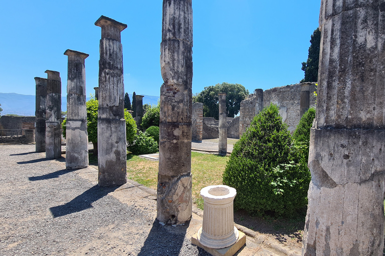 Nápoles: Pompeya AudioguíaVisita audioguiada inteligente de Pompeya