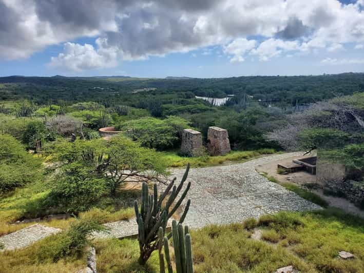 Noord Guided Jeep Safari of Aruba Island with Swim Stop GetYourGuide
