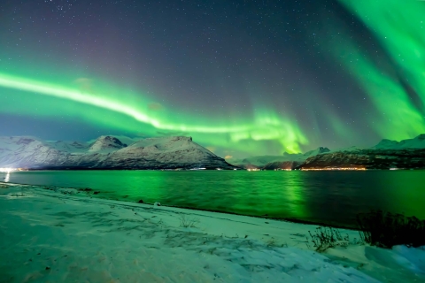 Tromsø: pościg fotograficzny z przewodnikiem przy zorzy polarnej z portretem