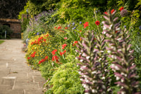 Canterbury Cathedral, Entry Ticket with Audio Guide - Housity
