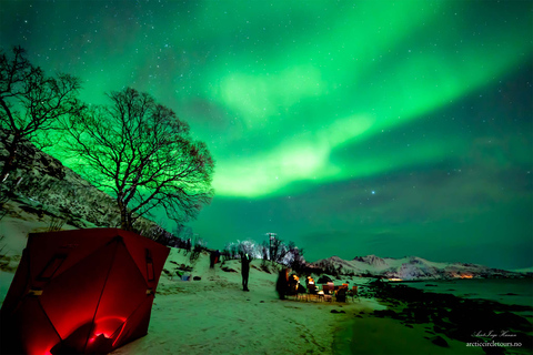 Tromsø: begeleide noorderlichtfotoachtervolging met portret