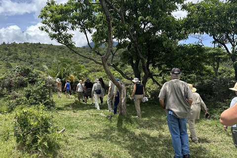 Arusha : visite guidée du parc national avec safari et déjeuner