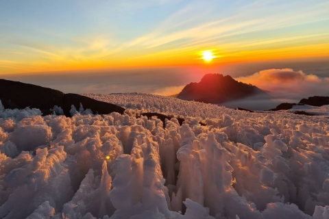 Monte Kilimanjaro Ruta Lemosho 11 Días