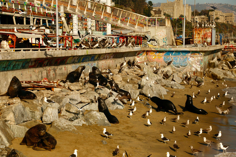 Santiago: Valparaiso, Viña del Mar e Vale de Casablanca