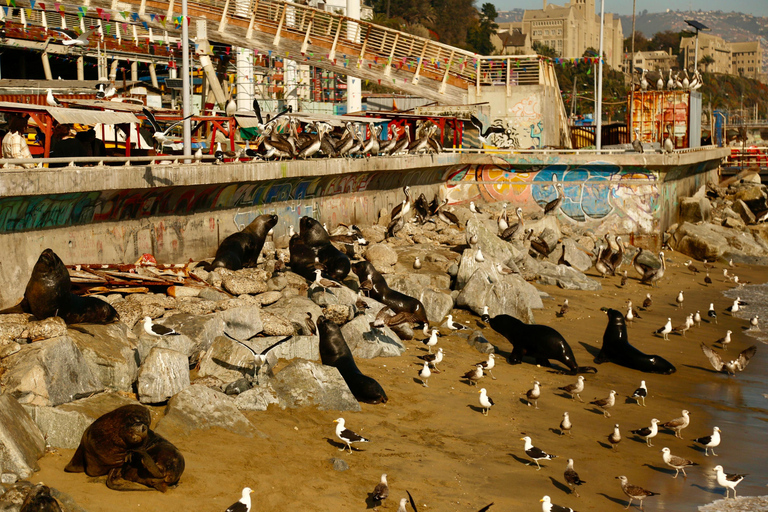 Santiago: Valparaiso, Viña del Mar i wycieczka do doliny Casablanca