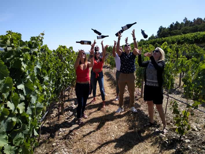 From Porto Douro Valley Wine Tasting Lunch And Boat Cruise Getyourguide