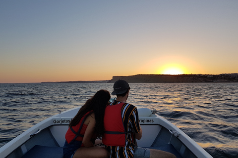 Lagos: Geführte Ponta da Piedade Tour bei SonnenuntergangÖffentliche Gruppentour