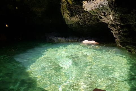 Lagos: Ponta da Piedade Grotto 1-godzinna wycieczka z lokalnym przewodnikiemLagos: Ponta da Piedade Grotto Tour z lokalnym przewodnikiem