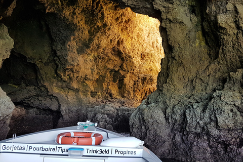 Lagos: Ponta da Piedade Grotto 1-timmes tur med lokal guideDelad gruppresa