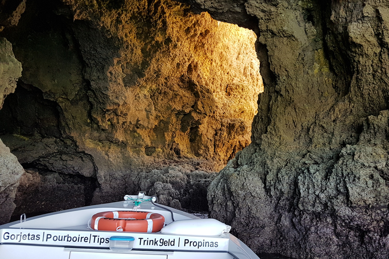 Lagos: Grotta di Ponta da Piedade: tour di un&#039;ora con guida localeTour di gruppo