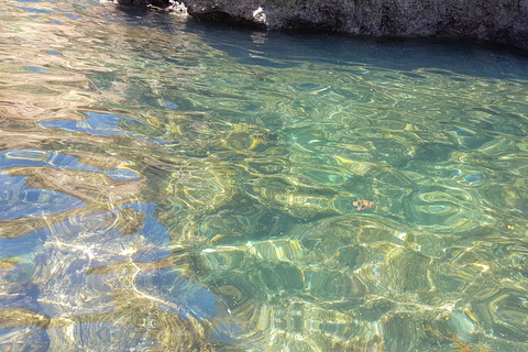 Lagos: Ponta da Piedade Grotto 1-timmes tur med lokal guideDelad gruppresa